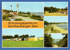 Senftenberg